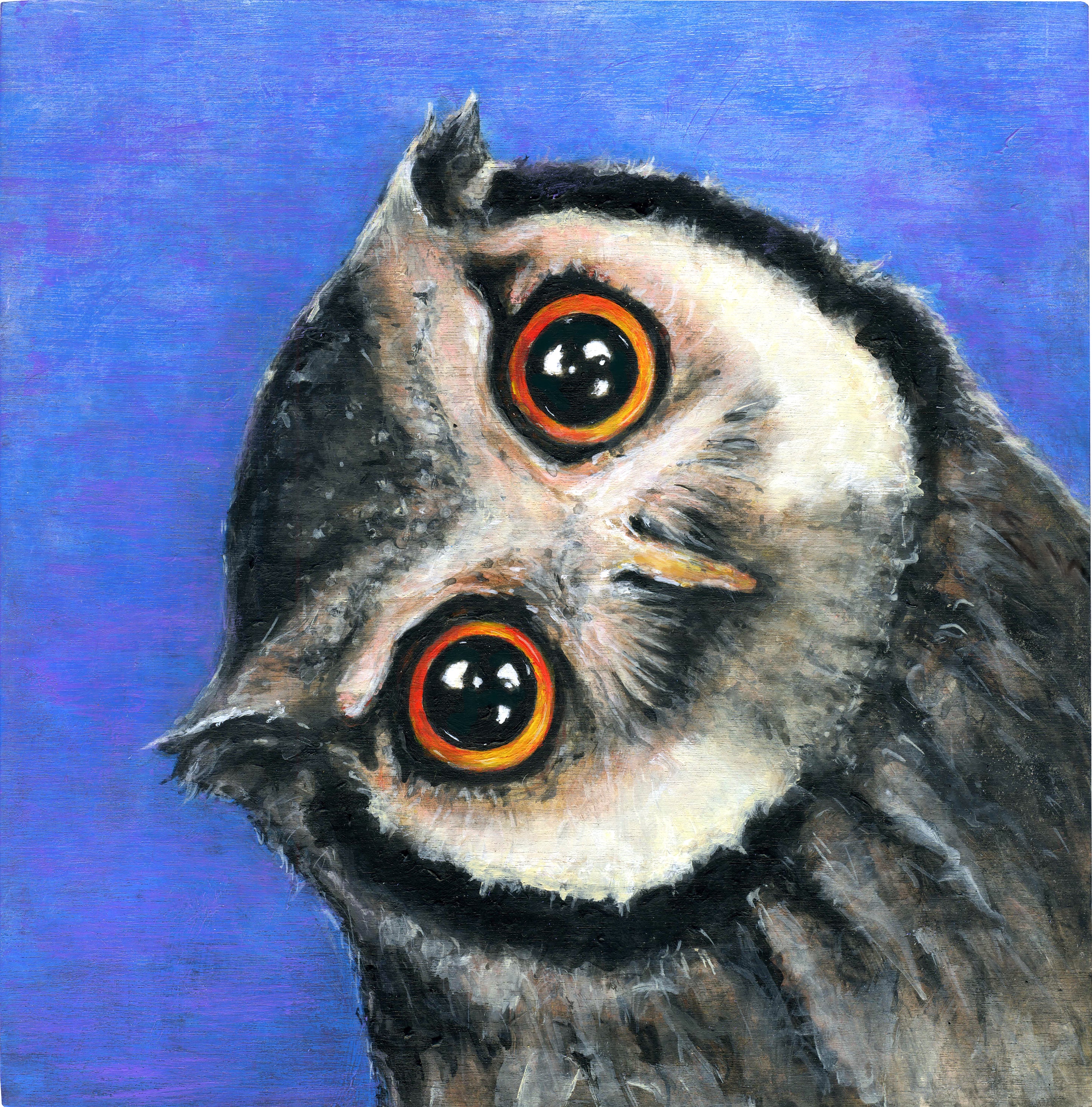 "Overworked Owl"