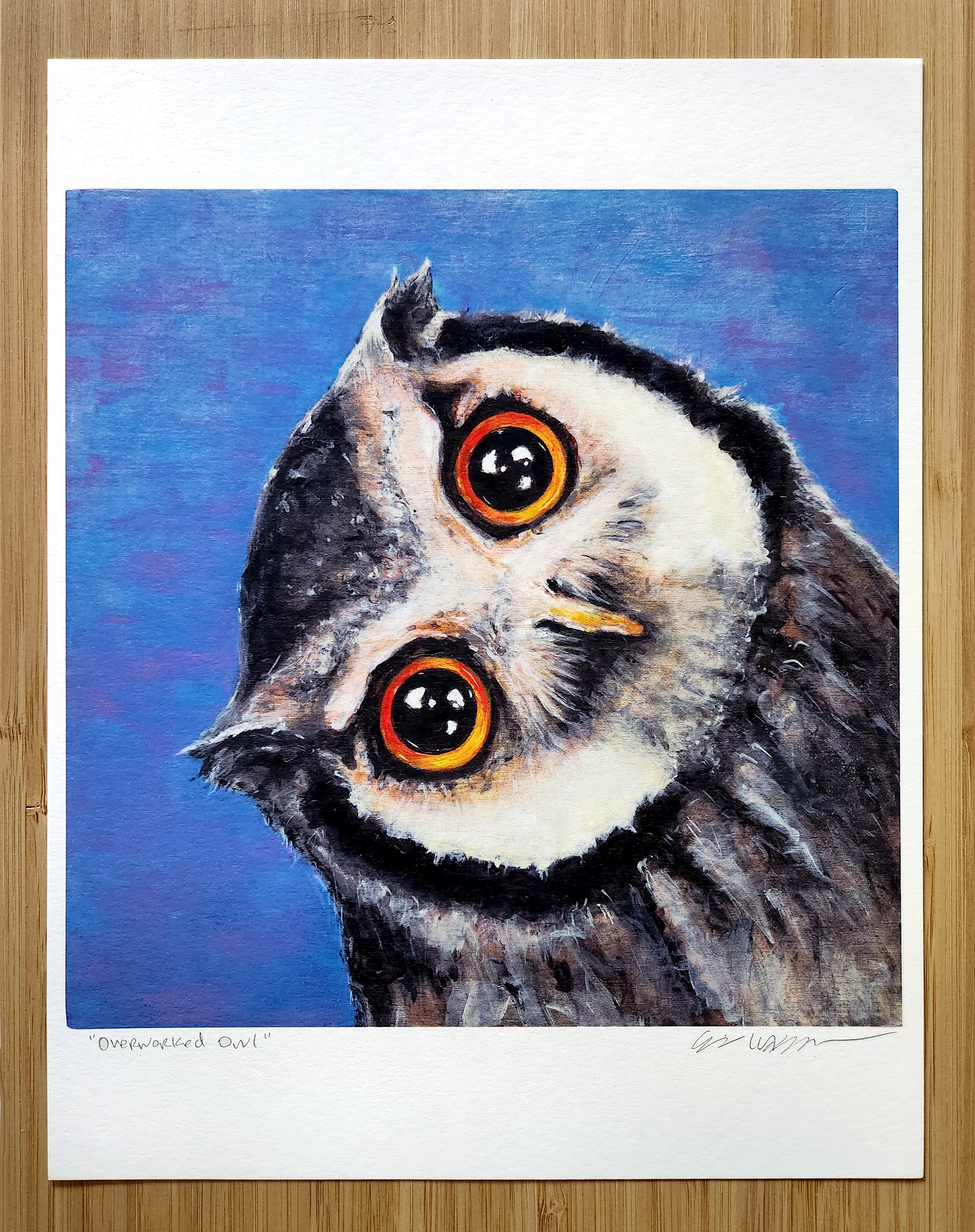 "Overworked Owl"