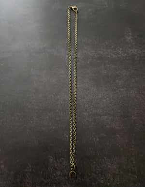 lucky horseshoe necklace