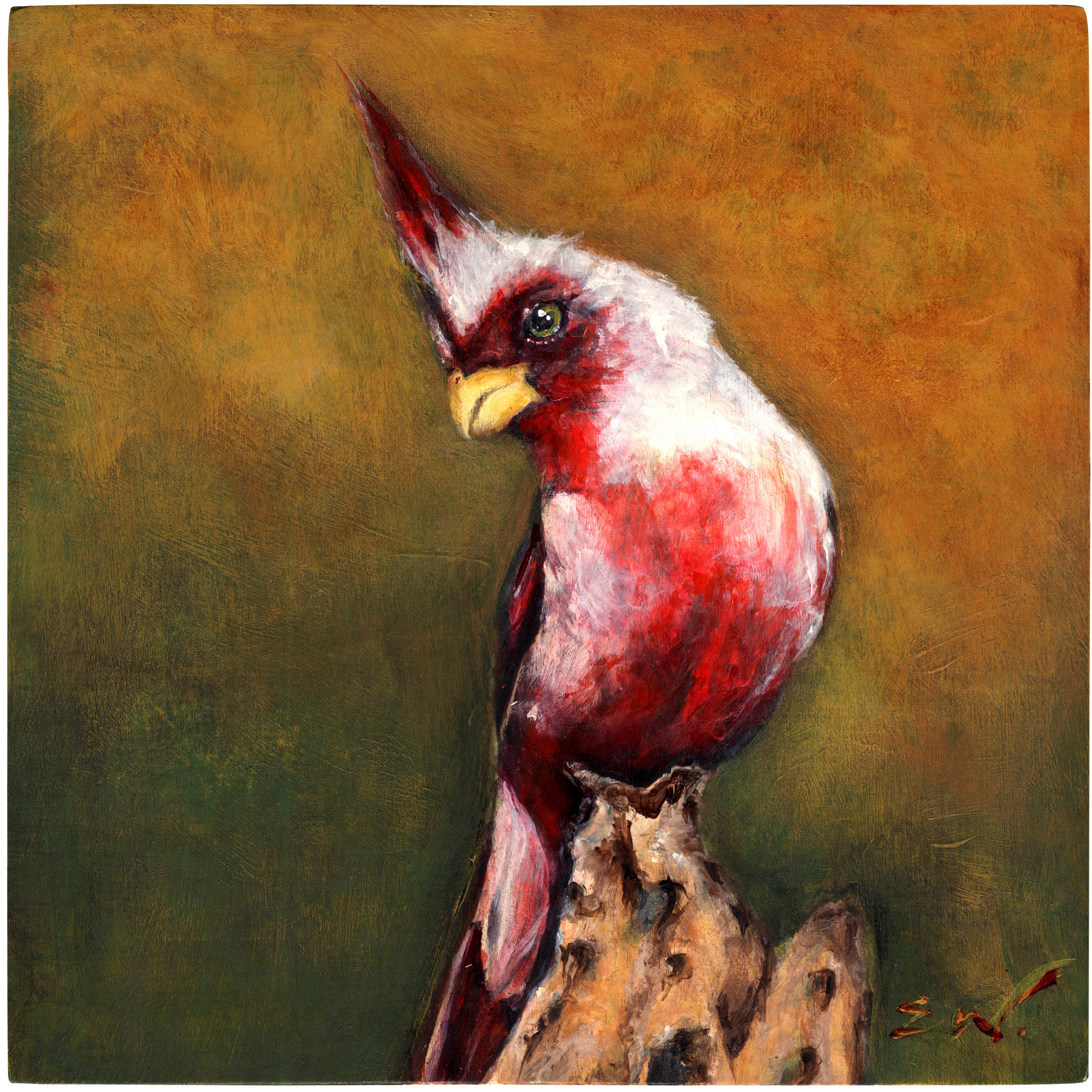 "Courageous Cardinal"