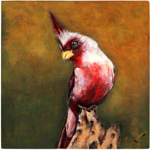 "Courageous Cardinal"