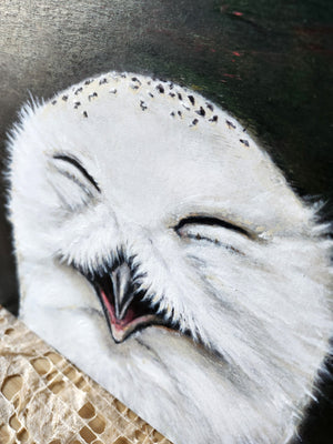 "Optimistic Owl"