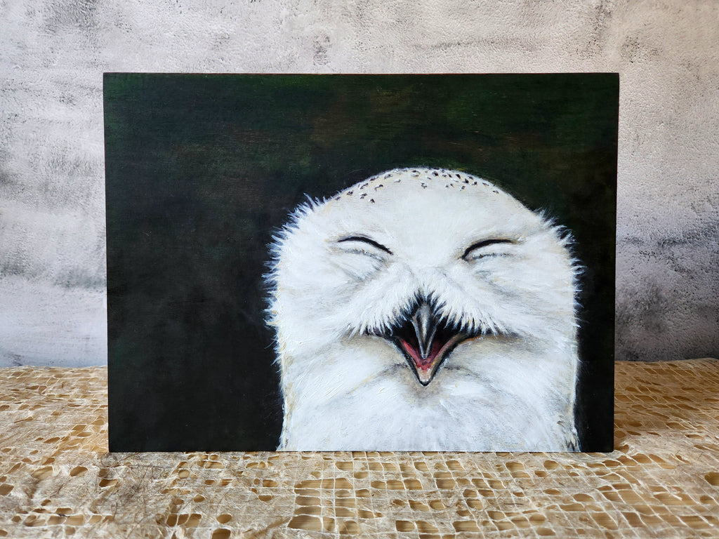 "Optimistic Owl"