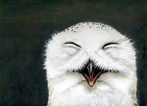 "Optimistic Owl"