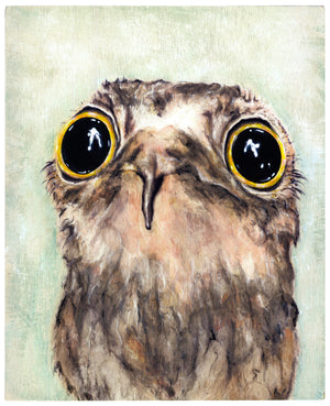 "Persuasive Potoo"