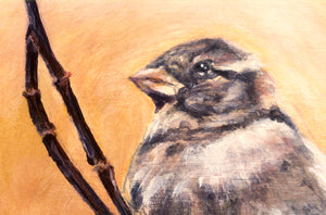 "Sunny Sparrow"